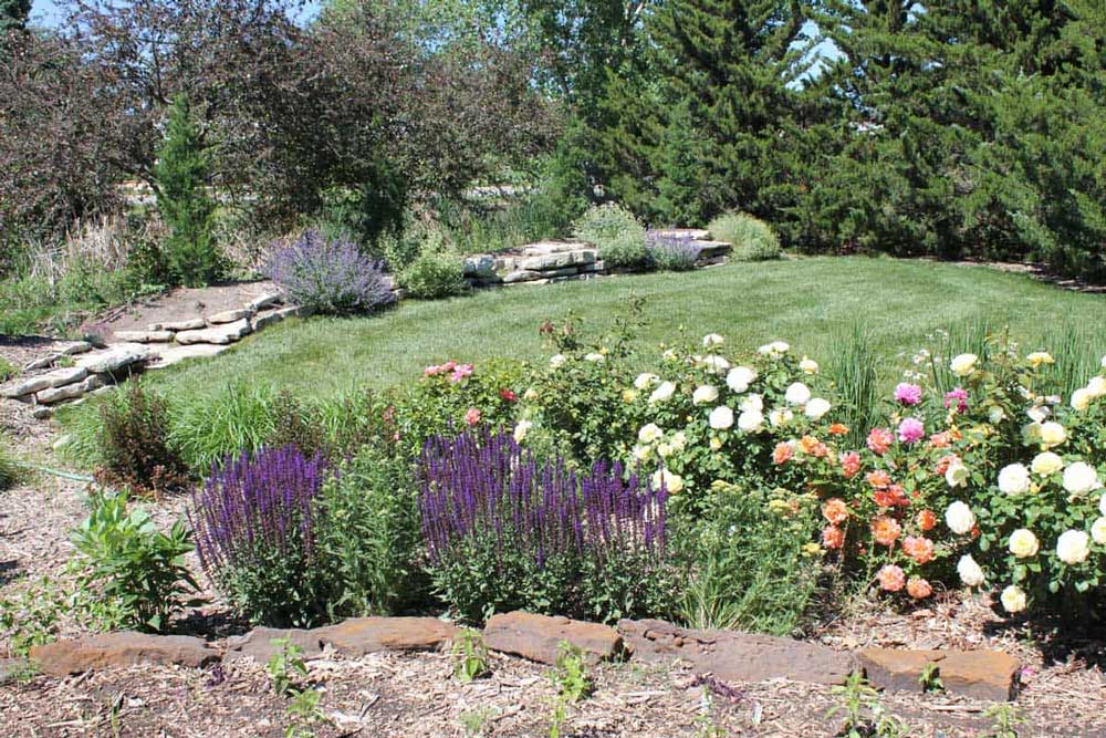 Flowers, plants, and landscaping at Dyck Arboretum